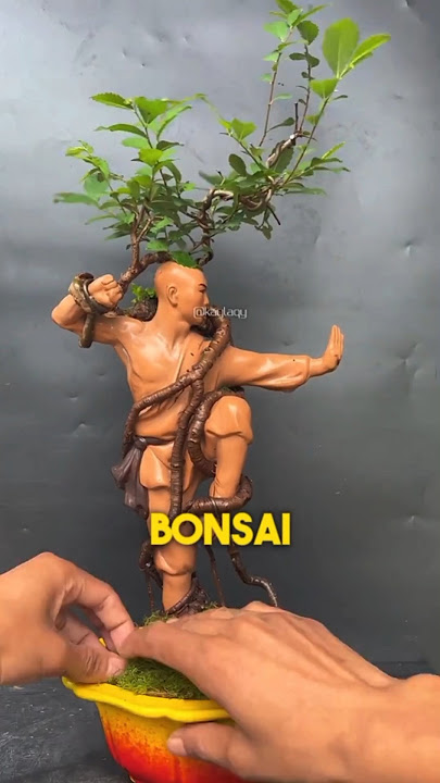 Making Bonsai Wrapped Around a Statue ♥️ #art #bonsai