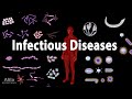 Infectious diseases overview animation