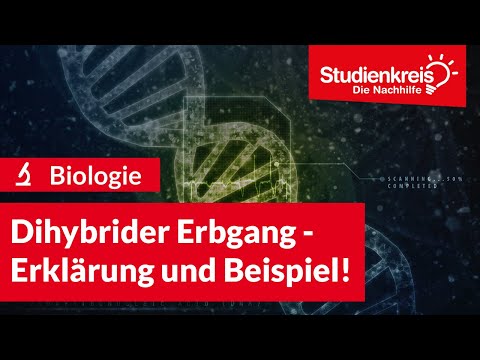 Video: Was ist hybride Vererbung mit Beispiel?