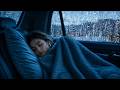 Sleep Deeply with Heavy Rain on Car | Wild Storm Night in Ancient Woods for Deep Sleep
