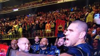 Alex Pereiras Real Scream Original