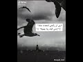 نور والقلم وما يسطرون راحه نفسيه جدآ