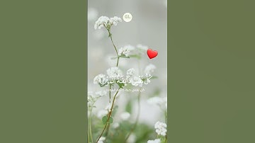 قرآن كريم -تلاوة خاشعة |القارئ إسلام صبحي #القرآن_الكريم #sorts #quran #اسلام_صبحي #تلاوة #القرآن