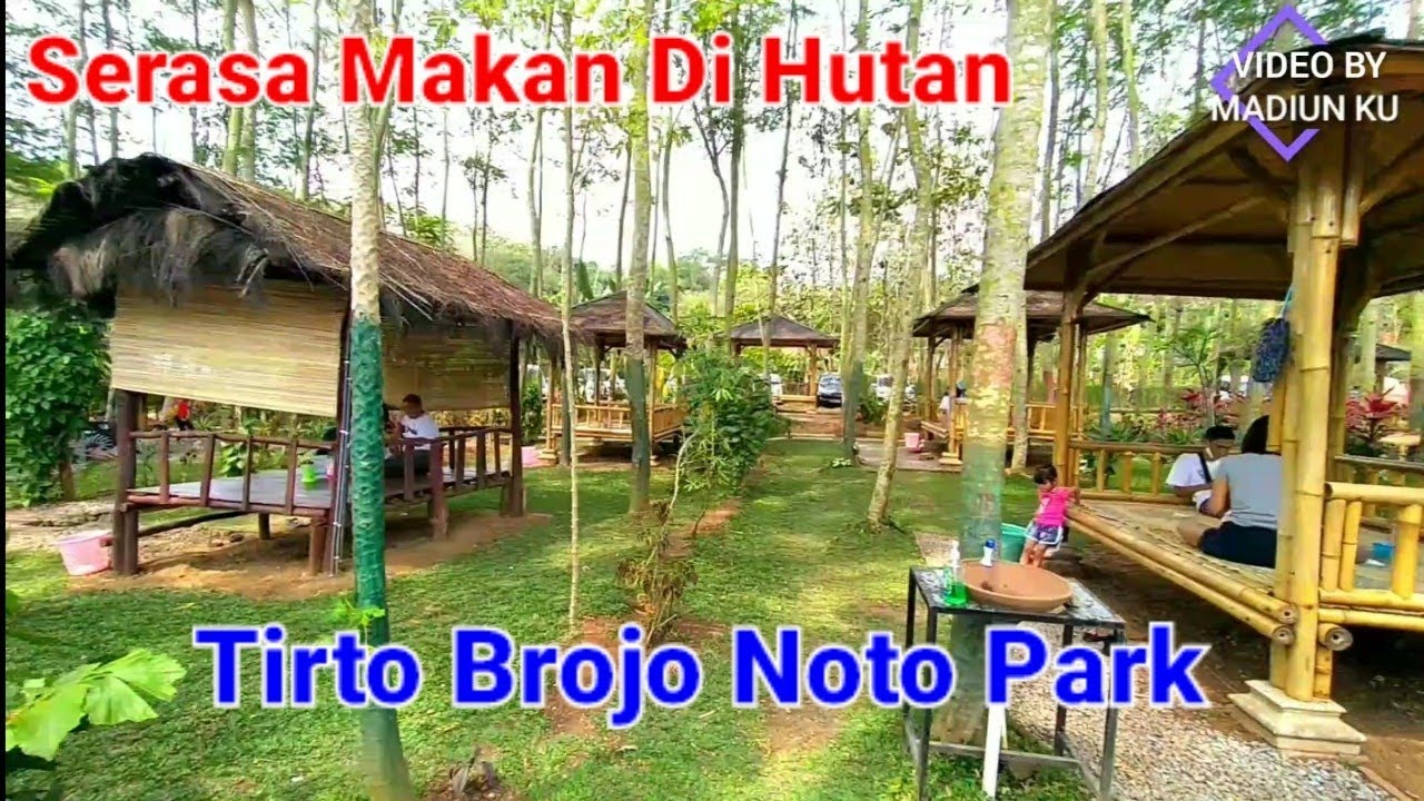 Tempat Makan Dipinggir Hutan - Tirto Brojo Noto Park - YouTube