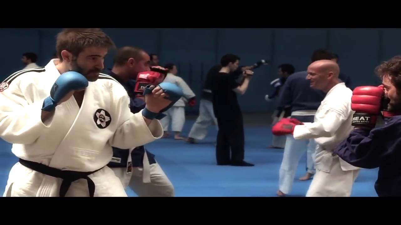 Seminario Internacional YOSEIKAN BUDO Impartido por HIROO MOCHIZUKI