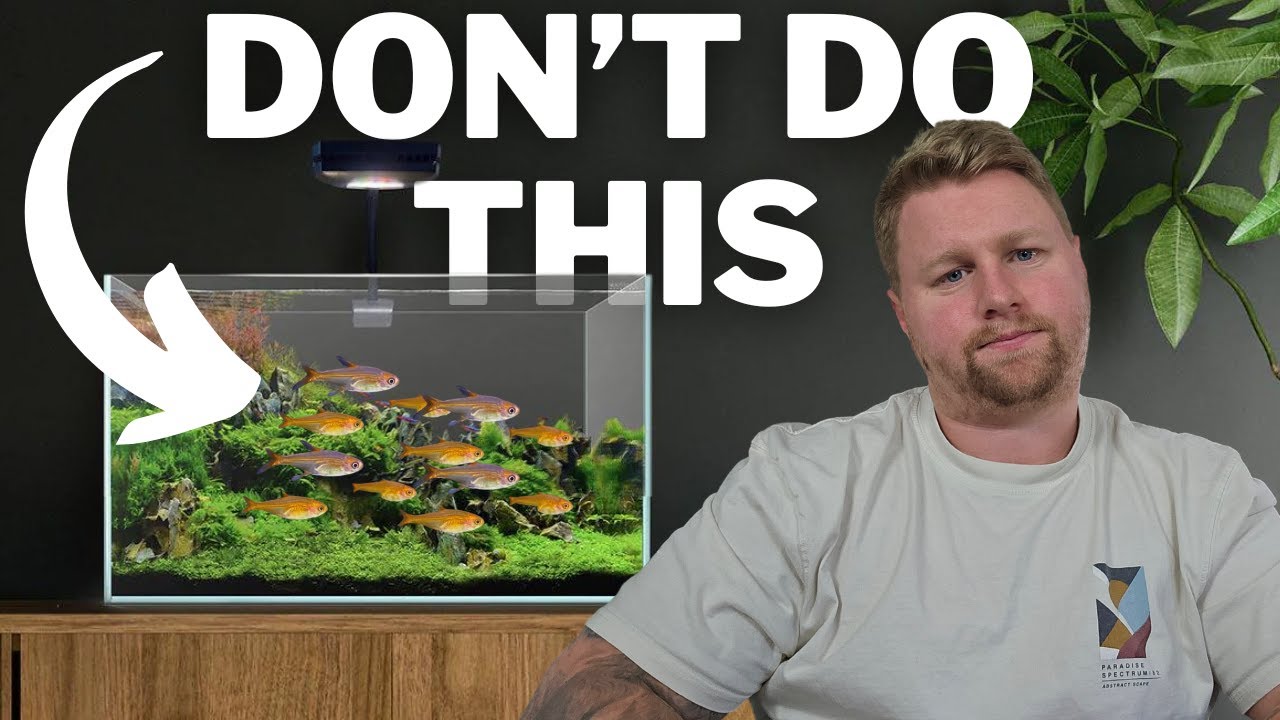 This COMMON MISTAKE is Ruining Your Aquarium YouTube