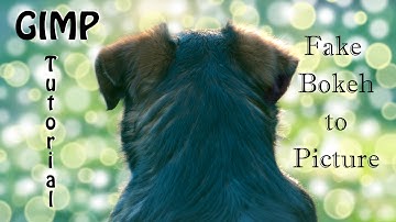 Gimp tutorial - Fake bokeh effect to picture