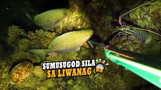 SUMUSUGOD SA LIWANAG 😱 | EP 167 | NIGHT SPEARFISHING PHILIPPINES  | Drin's Adventure | KATUSOK