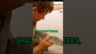 September 4, Death of a Legend: The Tragic Final Moments of Steve Irwin @TheHistoricalCalender