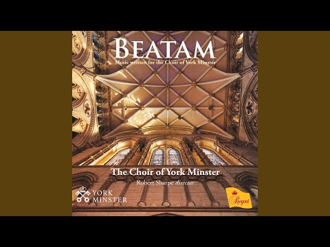 دستانم را در معصومیت خواهم شست 