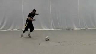 Instep Soccer Kick - Lateral View
