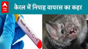 Kerala News: Nipah virus का बढ़ रहा खतरा, अब एक हेल्थ वर्कर भी पॉजिटिव, 9 साल के बच्चे की हालत गंभीर