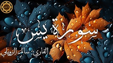سورة يس | القارئ: سالم الرويلي