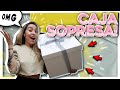 RECIBO UNA CAJA SORPRESA! + mi COMPRA de la SEMANA