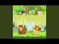 Animal alphabet