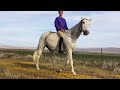equestrian tiktok compilation / part 28