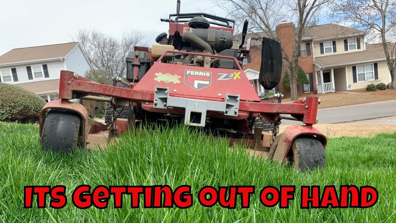 Cutting Our Over Grown Fescue