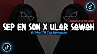 DJ Sep En Son X Ular Sawah - ( Slowed & Reverb ) 🎶