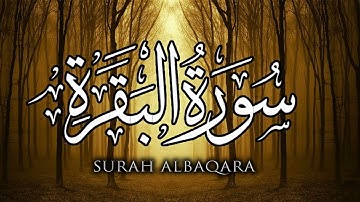 تلاوة سورتي الفاتحه والبقرة جودة عالية بصوت القارئ الشيخ محمد الغزالي