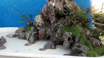 Tiểu Cảnh Nhỏ Lắp Đặt Tại Hải Phòng