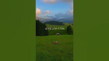 ما هو اسم القارئ😊
