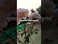 জুমার দিন দোয়া কবুলের সময়। মিজানুর রহমান আজহারি #shorts #video #waz #satatus