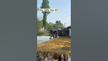 Lợp mái rơm nhân tạo vô cùng dễ dàng  #romnhantao #trangtri