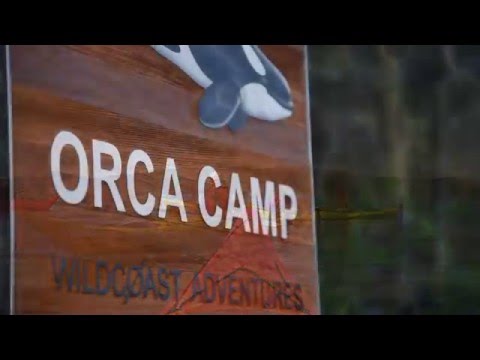 Wildcoast Adventures Orca Camp, Johnstone Strait British Columbia