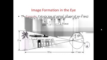 LECTURE 4  JNTUK IV ECE DIGITAL IMAGE PROCESSING  ELEMENTS OF VISUAL PERCEPTION