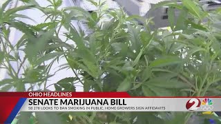 Ohio senators seek changes to adult-use cannabis, but no progress yet