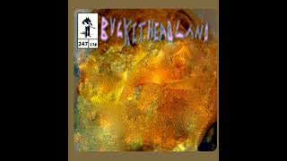 Buckethead - The Roles of Uncertainty