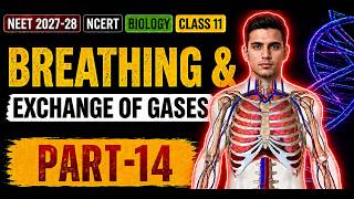 NEET | Breathing And Exchange Of Gases Part: 14 | 2027-28 | BioZammaney