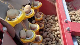 48 Inch 2 Line Automatic Bed Potato Planter Available On Indiamart