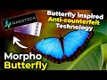 Morpho Butterfly | Butterfly inspiredAnti-counterfeit Technology!