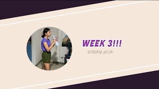 WEEK 3 EXERCISE IMPLEMENTATION (Physical Education Performance Task) Update