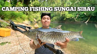 Camping Fishing 3 hari pertualangan di sungai sibau musim kemarau dapat ikan mahseer masak di hutan
