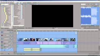 Official Vegas Fast Start Tutorial - Studio Platinum (included with my purchase)