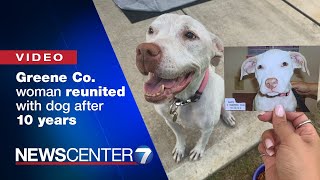 ‘What a miracle;’ Greene co. woman reunited with missing dog 10 years later | WHIOTV