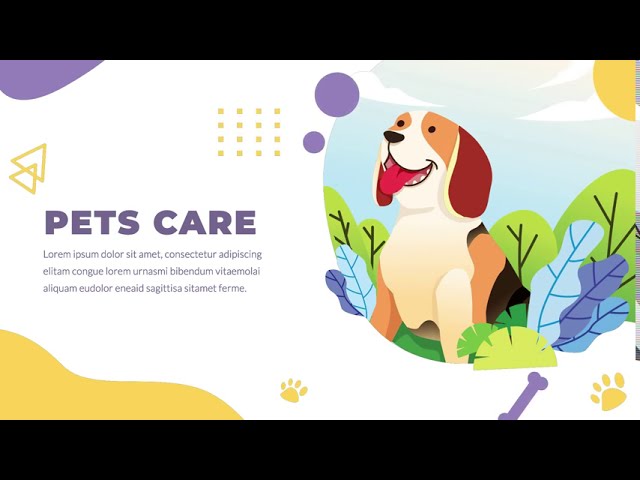 Pet Care Promotion