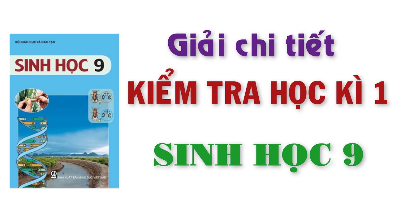 Đề thi môn sinh học lớp 9 học kì 1 | Đề kiểm tra  học kì 1 môn SINH HỌC lớp 9 năm 2020 – 2021 có đáp án chi tiết..