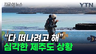 잘 나가던 제주가 어쩌다...14년 만에 벌어진 일 [지금이뉴스] / YTN