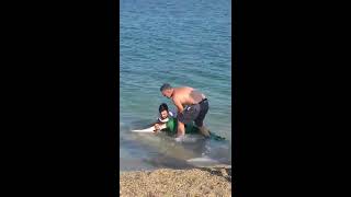 Tiburón en las playas de Roquetas de Mar