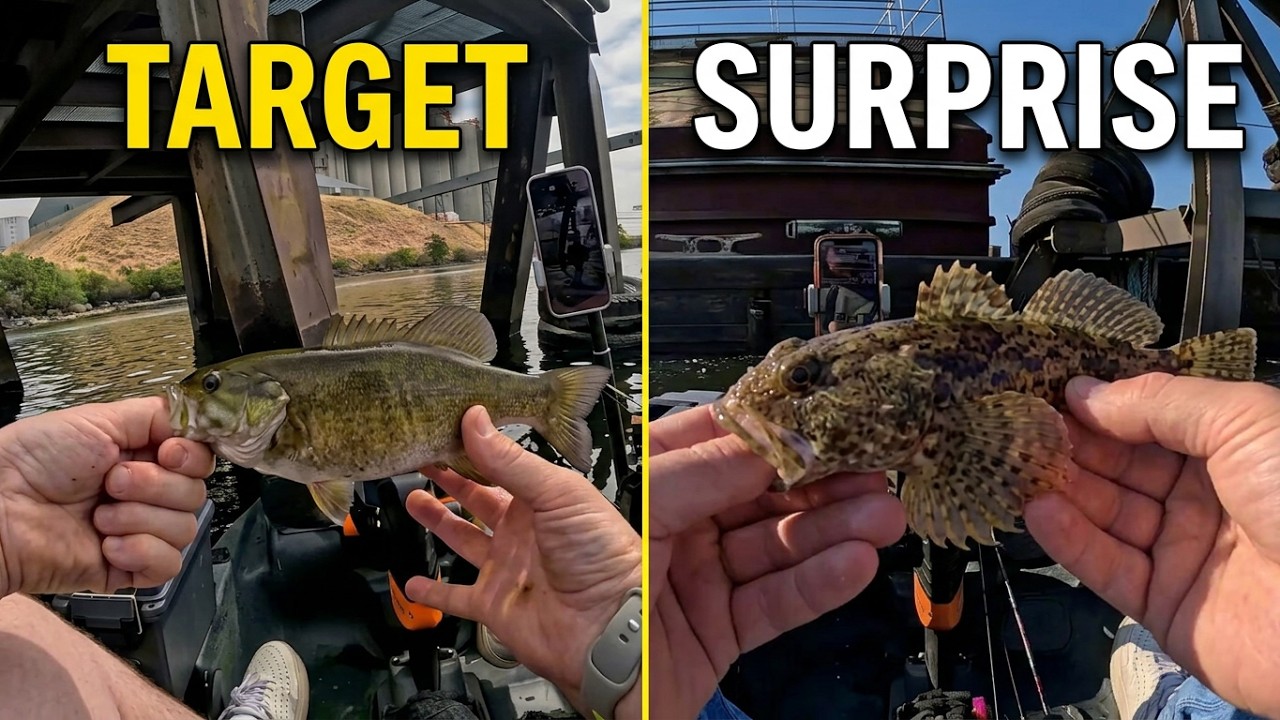 Multiple Catches – Small Mouth Bass – Columbia River!