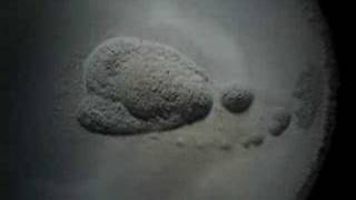 cymatics convection spiral.