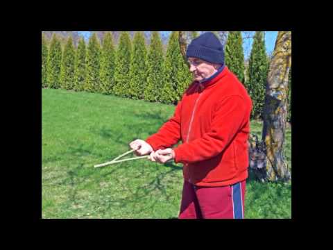 Воду ищут лозой ?