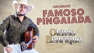 Famoso Pingaiada - Otávio Henrique.