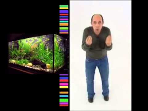 Aquarium Stahlak Bla Ma Tahlak 1