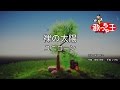 【カラオケ】裸の太陽/ユニコーン