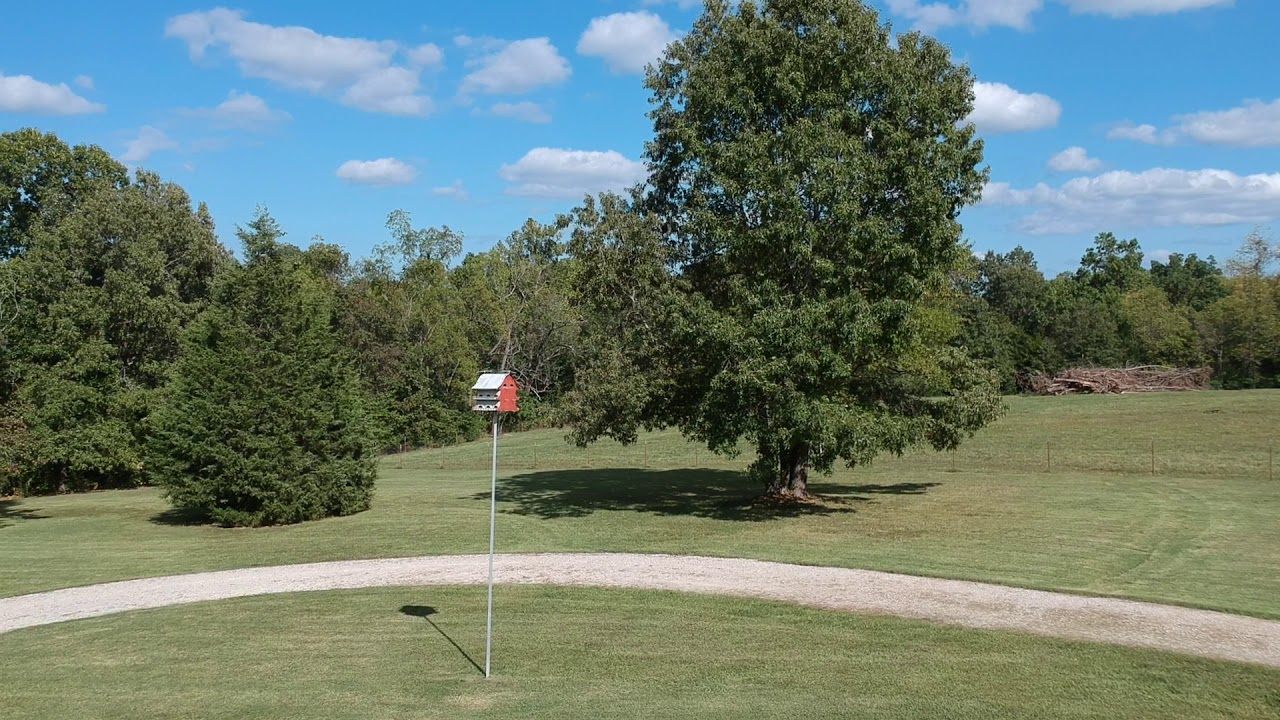 Flying at Wildcat Farm with Bill YouTube