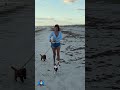 Just a simple run on the beach. 🏝️